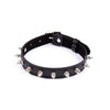 LATETOBED BDSM LINE COLLAR WITH SPIKES ADJUSTABLE - MYSTIC SEX SHOP