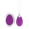 A-GUSTO VIBRATING EGG WITH REMOTE CONTROL USB PURPLE - MYSTIC SEX SHOP